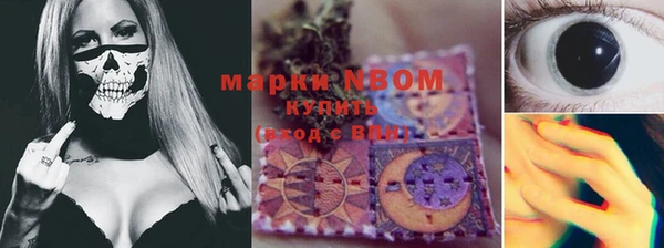 индика Карпинск