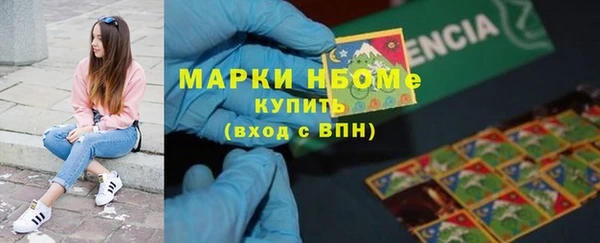 индика Карпинск