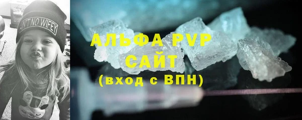индика Карпинск