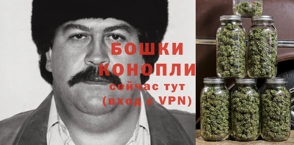 эйфоретик Каменногорск