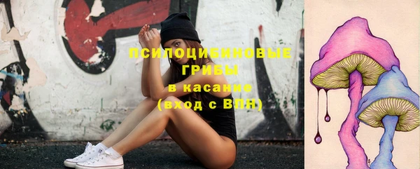 эйфоретик Каменногорск