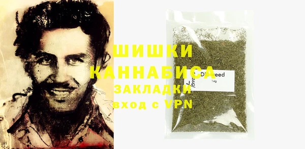 индика Карпинск