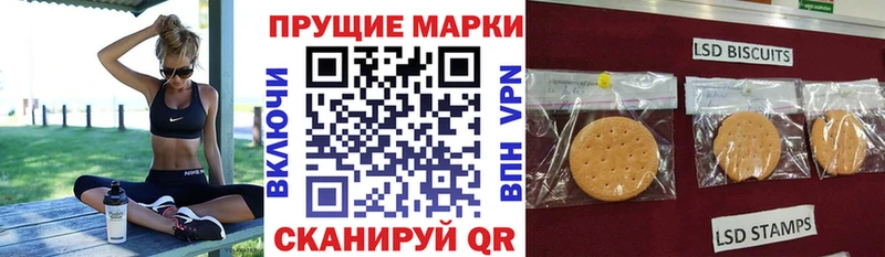 Марки NBOMe 1,8мг  Купить  Мураши 