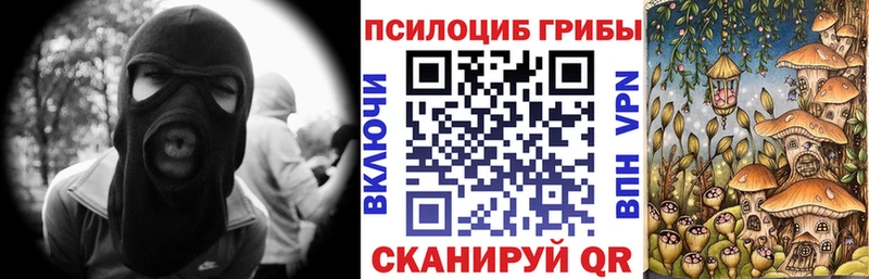 Купить закладки  Мураши  Галлюциногенные грибы GOLDEN TEACHER 